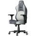 1stPlayer Крісло для геймерів 1stPlayer DK3 Grey