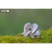 Eugy Пазл Eugy 3D Зоопарк Слон (XEG-010)