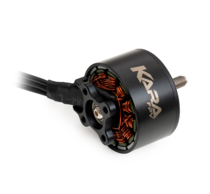 KaraFPV Двигун для дрона KaraFPV 3115 900KV упаковка 200 шт. (1I20034BOX)