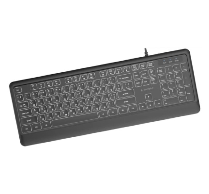 Gembird Клавіатура Gembird Slim Multimedia White Backlight USB Black (KB-UML-04-CYRL)