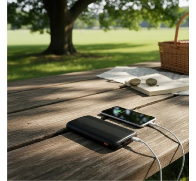 AWEI Батарея універсальна AWEI 10000mAh P20K, 12W, Black (6954284009744)