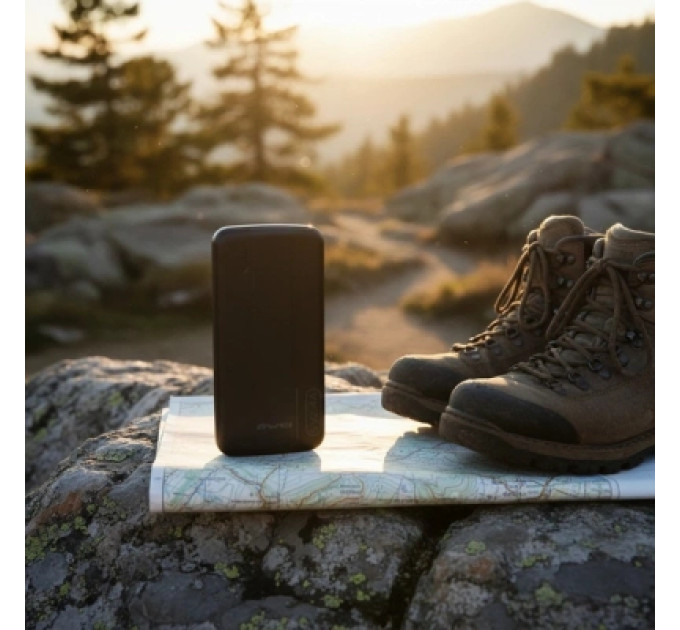 AWEI Батарея універсальна AWEI 10000mAh P20K, 12W, Black (6954284009744)