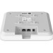 Ruijie Networks Точка доступу Wi-Fi Ruijie Networks RG-RAP2260
