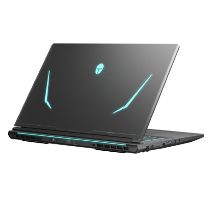 Thunderobot Ноутбук Thunderobot 911 X17 (911X17-i7136H57E1Q165MBD)