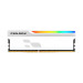 Prologix Модуль пам`ятi DDR5 16GB/6000 Prologix Onyx White RGB (PRO16GB6000YWR5)