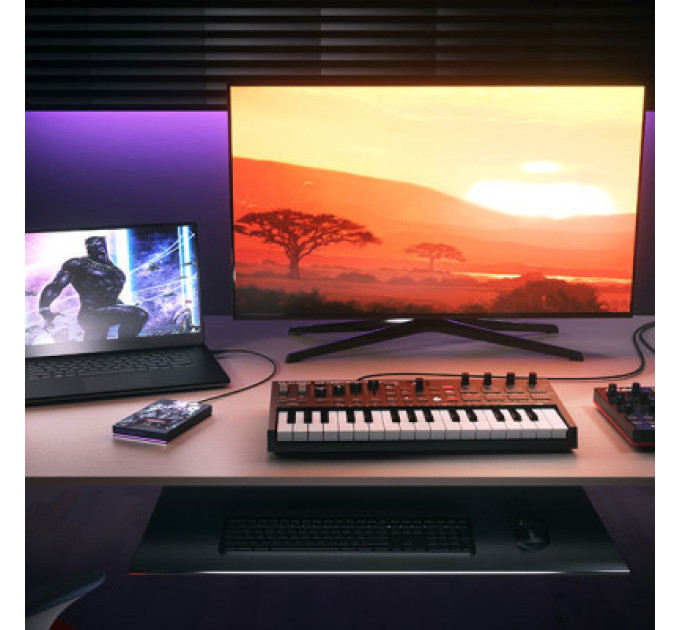 Зовнішній жорсткий диск 2.5" 2TB King of Wakanda FireCuda Gaming Drive Seagate (STLX2000400)