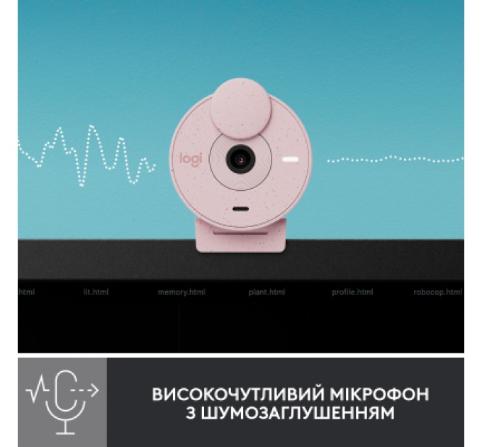 Веб-камера Logitech Brio 300 FHD Rose (960-001448)