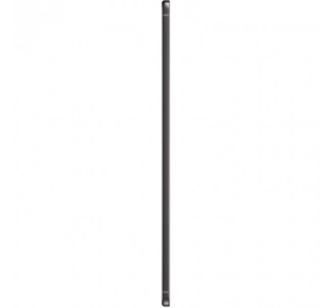 Планшет Samsung Galaxy Tab S6 Lite 2024 10.4 LTE 4/128GB Oxford Gray (SM-P625NZAEEUC)