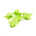 Extradigital Тримач для кабелю Extradigital CC-948 Cable Clips butterfly, Green (KBC1713)