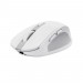 Мишка Trust Ozza compact Bluetooth/Wireless/USB-A White (24933)