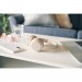Sony Навушники Sony WH-CH520 Wireless Beige (WHCH520C.CE7)