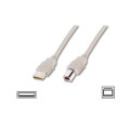 Digitus Кабель для принтера USB 2.0 AM/BM 1.8m Digitus (AK-300102-018-E)