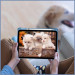 Чохол до планшета BeCover Soft Edge TPU Apple iPad Air 11" M2 2024 Blue Haze (711703)