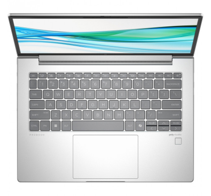 Ноутбук HP Probook 445 G11 (9Y7K5ET)