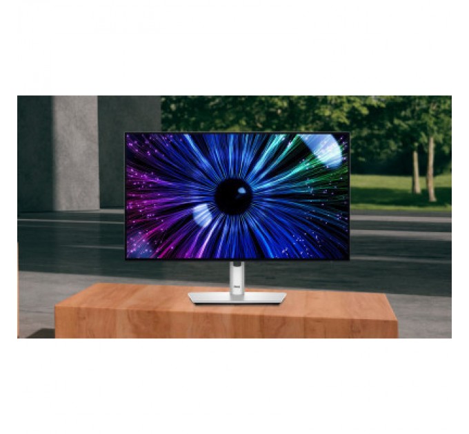 Монітор Dell U2424HE (210-BKJF)
