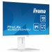 iiyama Монітор iiyama XUB2492HSU-W6