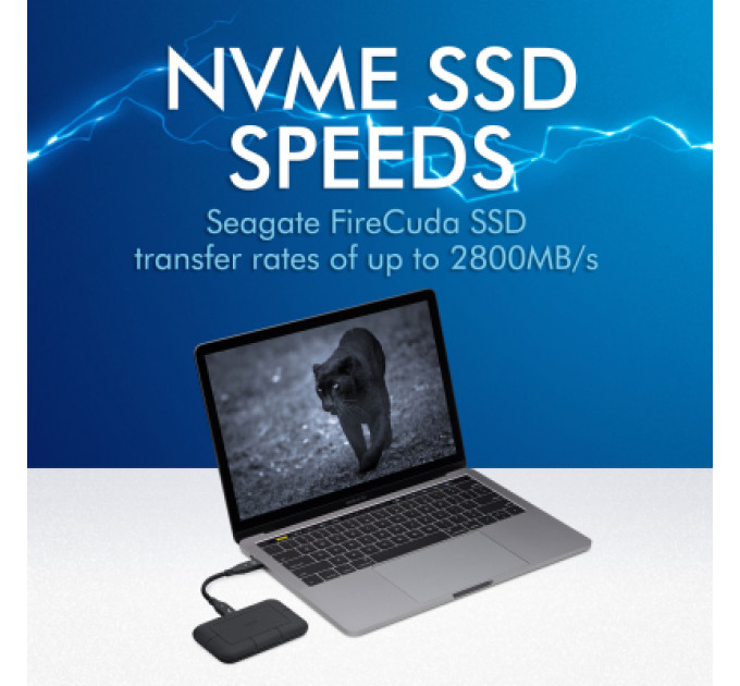 Накопичувач SSD USB-C 4TB LaCie (STHZ4000800)