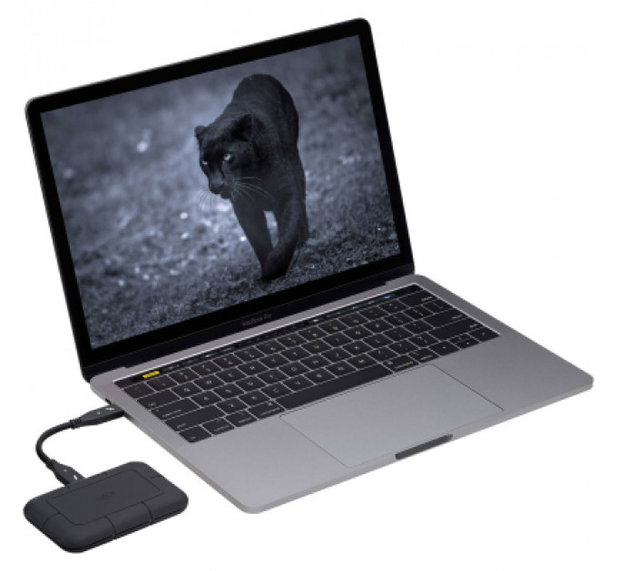 Накопичувач SSD USB-C 4TB LaCie (STHZ4000800)
