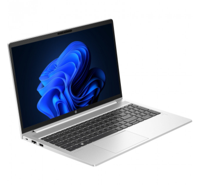 Ноутбук HP ProBook 450 G10 (AK9S4AT)
