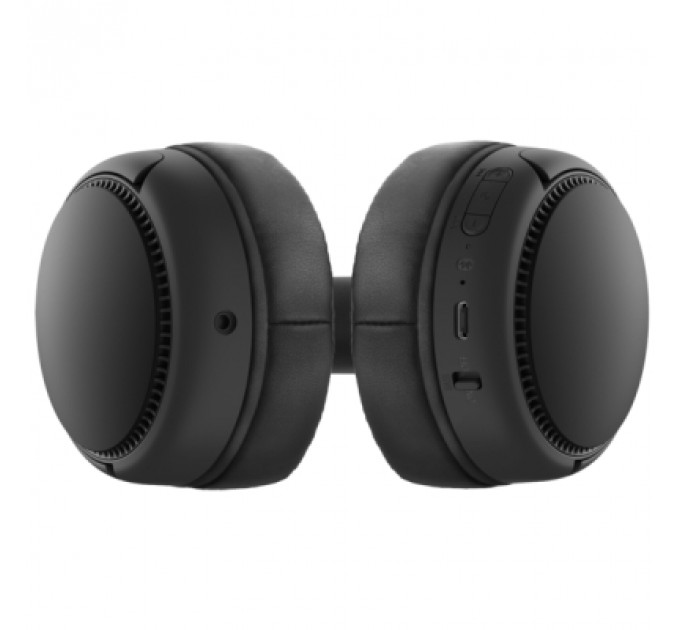 Навушники Panasonic RB-M300BGE-K Black (RB-M300BGE-K)