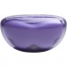Навушники JBL Tune Flex 2 Ghost Purple (JBLTFLEX2GMAE)