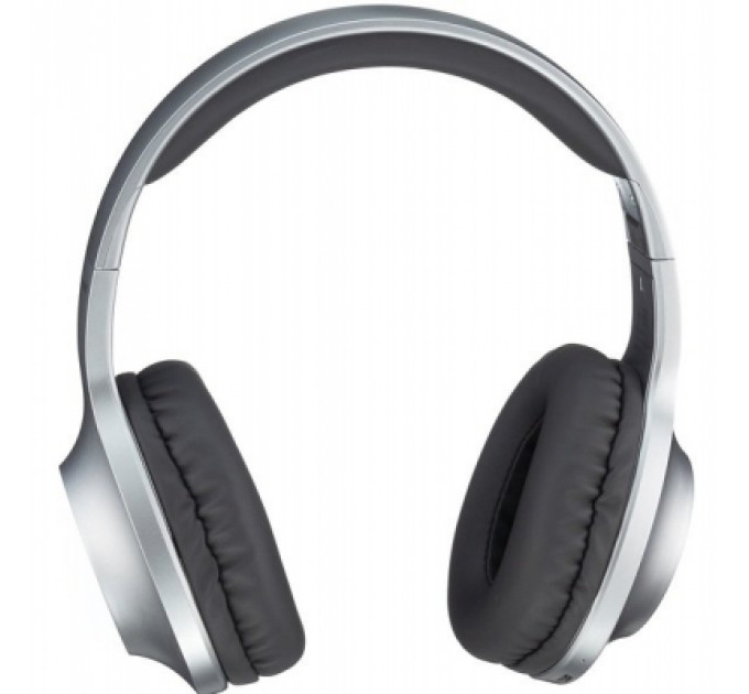 Навушники Panasonic RB-HX220BEE-S Gray (RB-HX220BEE-S)
