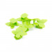 Тримач для кабелю Extradigital CC-948 Cable Clips butterfly, Green (KBC1713)