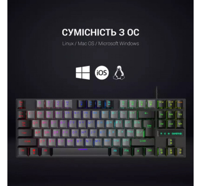Клавіатура GamePro MK100B Blue Switch LED USB Black (MK100B)