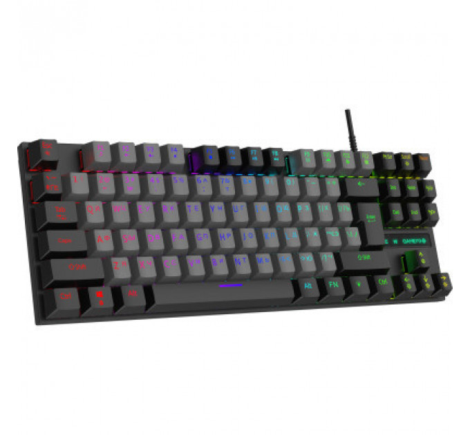 Клавіатура GamePro MK100B Blue Switch LED USB Black (MK100B)