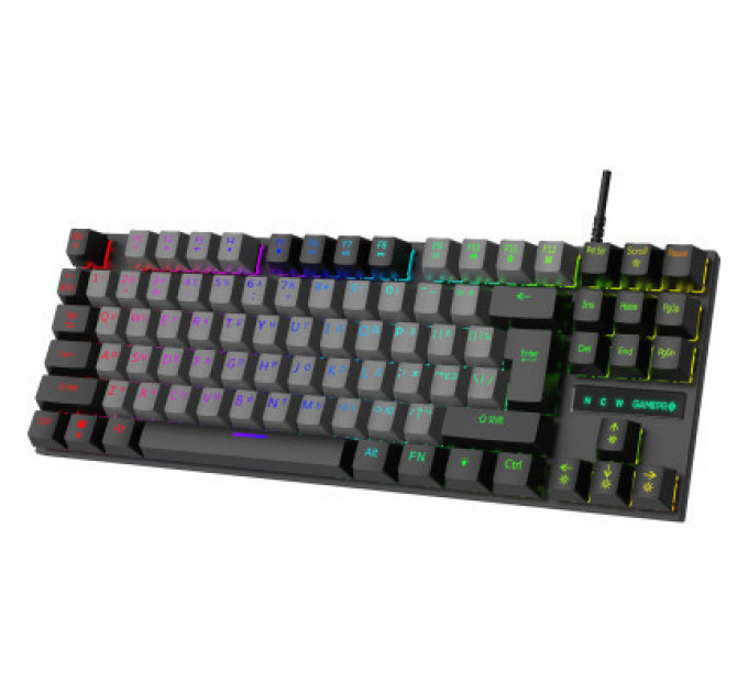 Клавіатура GamePro MK100B Blue Switch LED USB Black (MK100B)