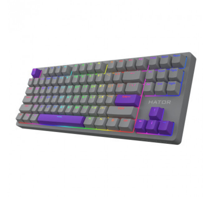 Клавіатура Hator Rockfall 2 Autograph Edition Mecha TKL Aurum Choco USB Titanium (HTK-526)