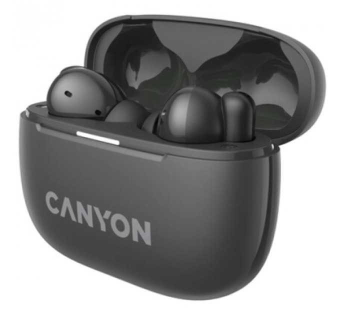 Навушники Canyon TWS-10 OnGo ANC ENC Graphite (CNS-TWS10B)