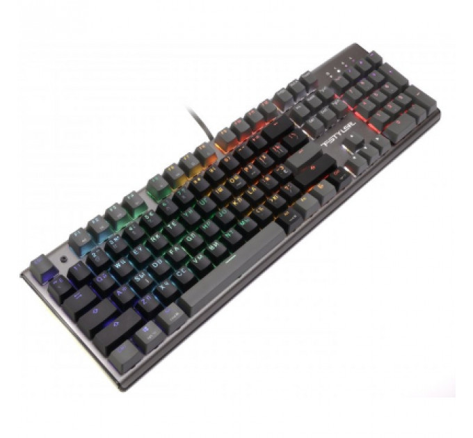Клавіатура A4Tech FS100 RGB FS Switch USB Stone Black (4711422003925)