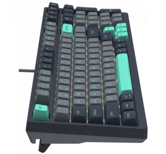 Клавіатура A4Tech FS300 FS Switches USB Panda Rock Climbin (4711422003086)