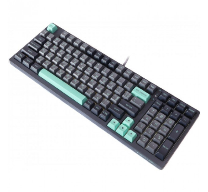 Клавіатура A4Tech FS300 FS Switches USB Panda Rock Climbin (4711422003086)