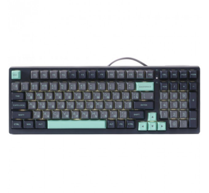 Клавіатура A4Tech FS300 FS Switches USB Panda Rock Climbin (4711422003086)