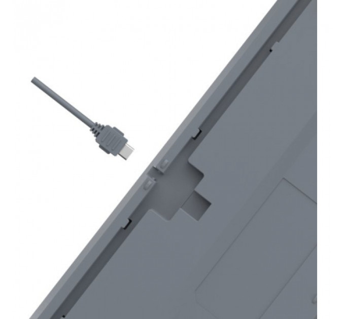 Клавіатура A4Tech FS300 FS Switches USB Panda Rock Climbin (4711422003086)
