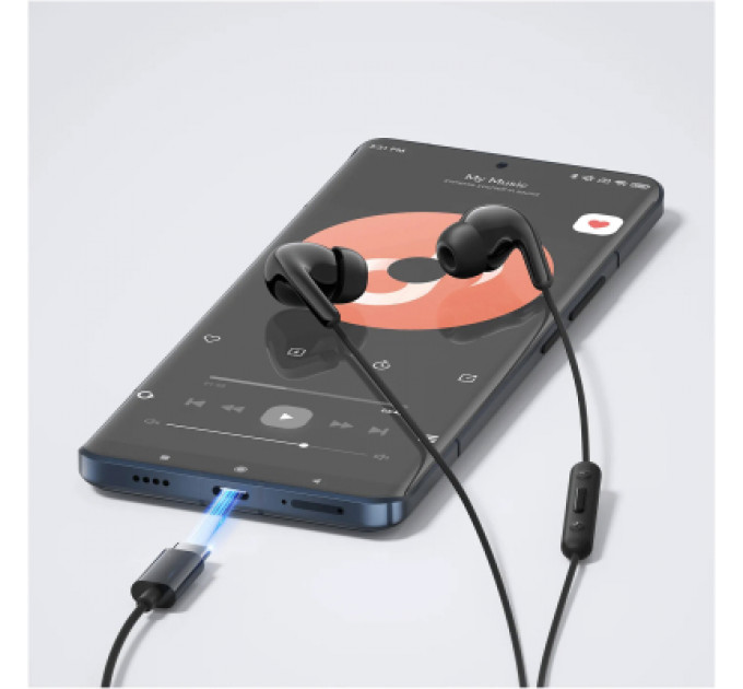 Навушники Xiaomi Type-C Earphones Black (1071791)