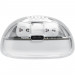 Навушники JBL Tune Flex 2 Ghost White (JBLTFLEX2GWHT)