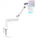 Fifine Мікрофон Fifine TAM6W White (TAM6W)