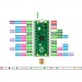 Raspberry Pi Додаткове обладнання до промислового ПК Raspberry Pi Мікроконтролер Raspberry Pi Pico (SC0915) (SC0915)