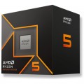 AMD Процесор AMD Ryzen 5 9600 (100-100000718MPK)
