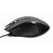 A4Tech Мышь A4Tech X87 Oscar Neon Black USB