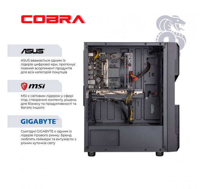 Персональний комп`ютер COBRA Advanced (A36X.16.S5.665XT.19703)