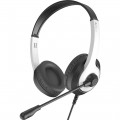 Гарнитура A4Tech FH100U Panda