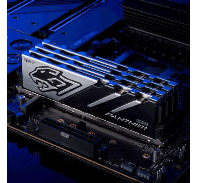 Apacer Модуль пам'яті для комп'ютера DDR5 32GB (2x16GB) 5600 MHz Panther Apacer (AH5U32G56C5227BAA-2)