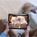 BeCover Чохол до планшета BeCover Soft Edge TPU Apple Pencil Apple iPad Air (4/5) 2020/2022 10.9" Gray (711699)