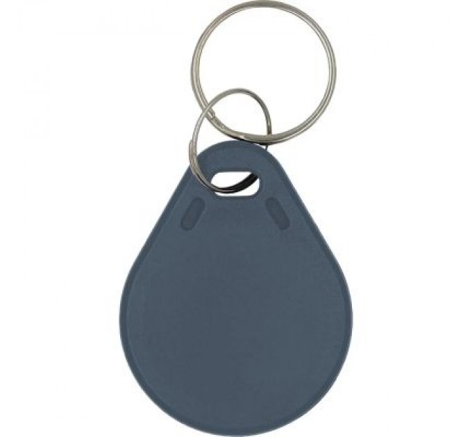 Trinix Брелок з чіпом Trinix P-key RW gray