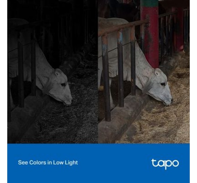 Камера відеоспостереження TP-Link TAPO-C320WS