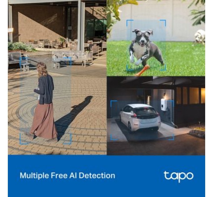 Камера відеоспостереження TP-Link TAPO-C520WS